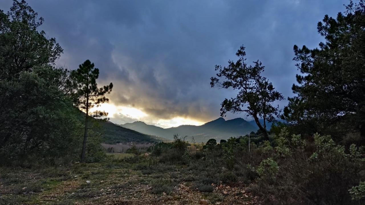 Vila Cr La Carrasca Riópar Exteriér fotografie